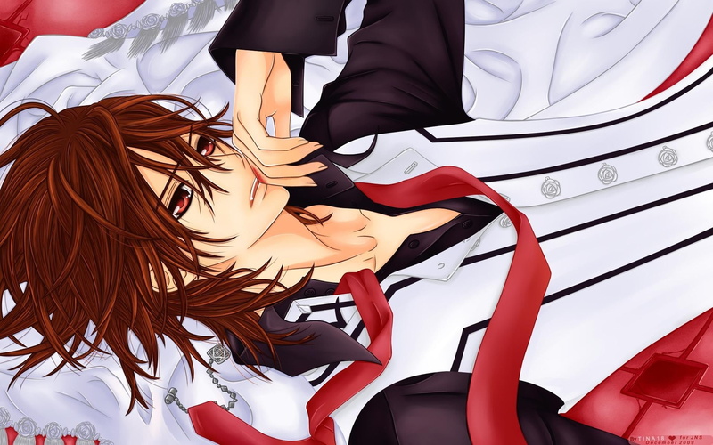 art, 1080P, x, vampire, anime, Vampire Knight, hd, knight