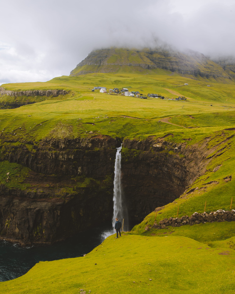 fog, land, daylight, wood, meadow, mountain, punch, foggy, outdoors, nature, scenics - nature, tranquility, standing, valley, dawn, idyllic, grass field
