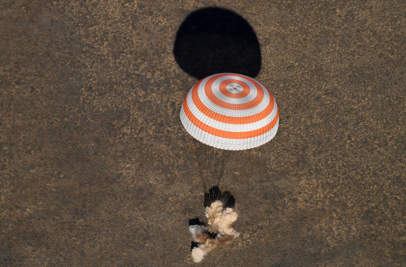 safely, 2K, vertebrate, dog, animal themes, animal body part, pets, animal head, animal, Earth, Crew, directly above, Parachute, cat, mammal, high angle view