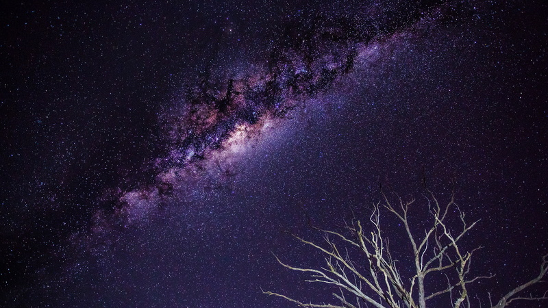 milky, tree, way, grey, space, branch, night, branches, galaxy, stars, hd, 1080P