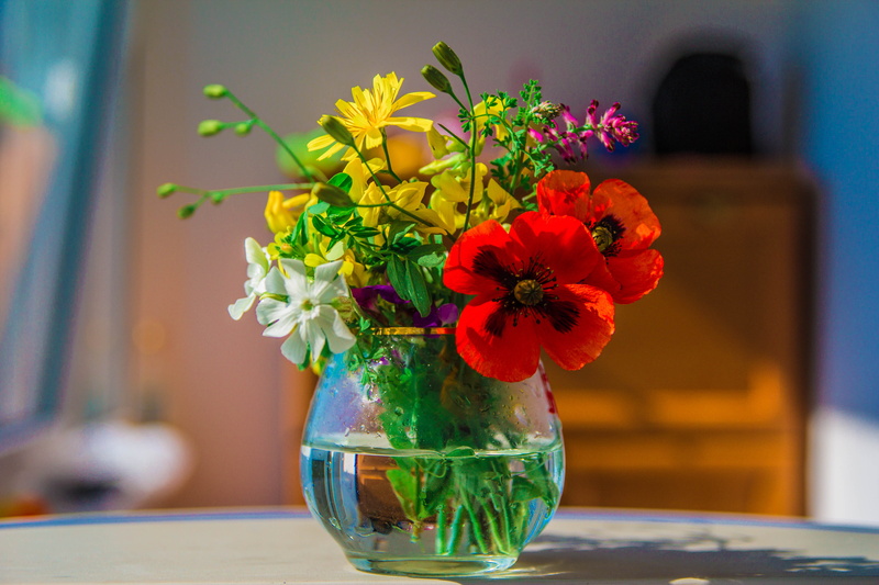 field flowers, flower arrangement, household equipment, flower, nature, freshness, bouquet, yellow, multi colored, 5K, vase, spring flowers, red, plant