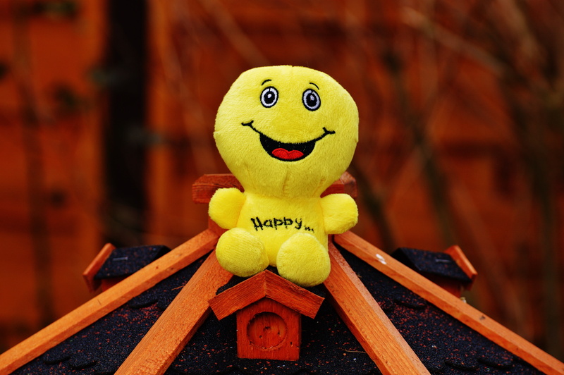 smile, love, funny, joy of life, childhood, toy, cheerful, representation, yellow, good mood, art and craft, animal themes, indoors, valentines day, animal representation