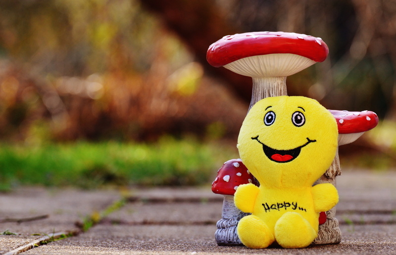 keep smiling, small, good mood, happy, joy, nature, courage, food and drink, laugh, beginning, funny, smiling, outdoors, love, vegetable, happiness, positive