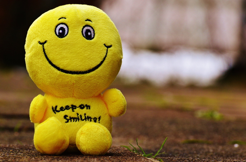 laugh, laughing face, stuffed toy, smiley, animal, happy, emotion, start, communication, smiling, text, soil, fun, good mood, photography, focus on foreground