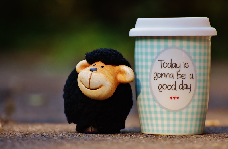 cup, human representation, day, creativity, happiness, to go, archival, courage, good mood, life is beautiful, happy, fun, joy, stuffed toy, emotion, positive