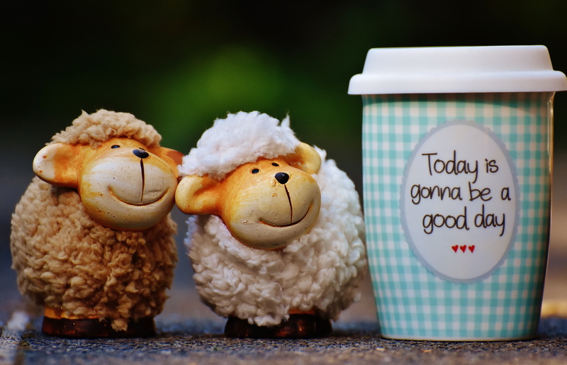 life is beautiful, teddy bear, christmas, animal representation, animal, still life, communication, representation, emotion, animal themes, positive, no people