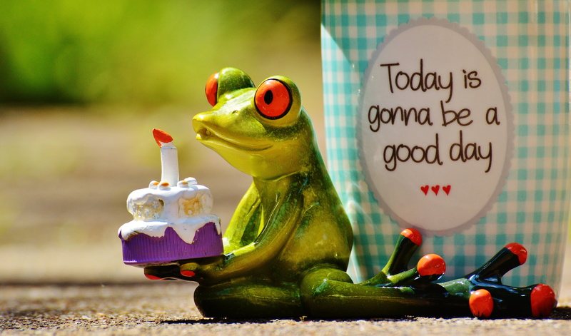 figurine, cheerful, animal themes, food, no people, courage, toy, still life, good mood, text, positive, smile, vegetable, western script, laugh, day, holding