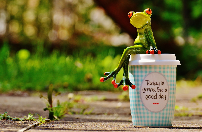 cute, emotion, happiness, laugh, sitting, frogs, joy of life, sign, sweet, western script, positive, cup, nature, fruit, 5K, courage, day, pep talk, no people