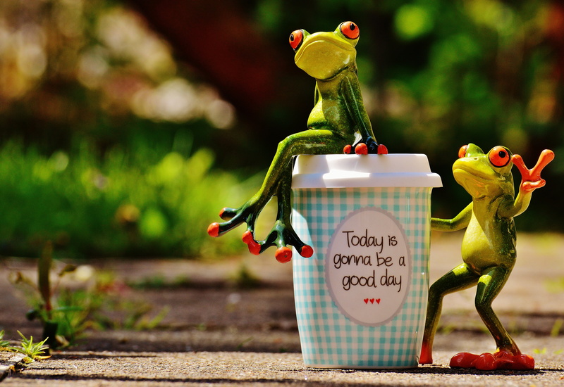 figurine, bird, courage, container, 5K, toy, western script, emotion, frog, focus on foreground, day, nature, joy, art and craft, pep talk, beginning