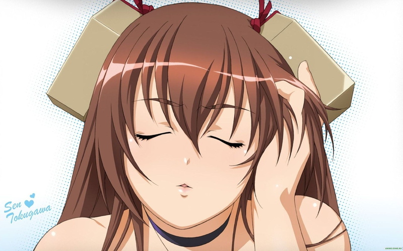 1080P, anime, anime girls, Hyakka Ryouran Samurai Girls