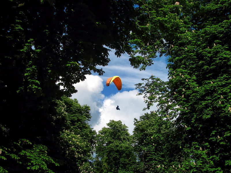 flying, outdoors, wind, beauty in nature, parachute, chestnut, glade, sky, 1080P, using, trees, no people, low, draught, extreme sports, spring, day, air sports