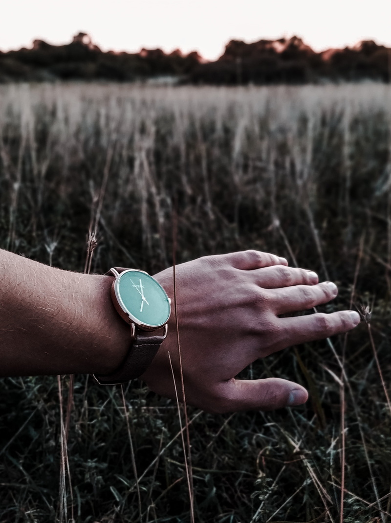 nature, hand, day, human body part, human finger, plant, croatia, vodnjan, finger, one person, field, 4K, holding, focus on foreground, ul. prvi maj 45