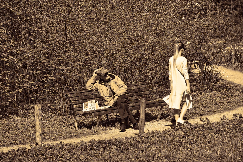 men, bench, walking, adult, real people, group of people, person, tree, outdoors, plant, path, leisure activity, park, rear view, elderly man, 5K, young woman