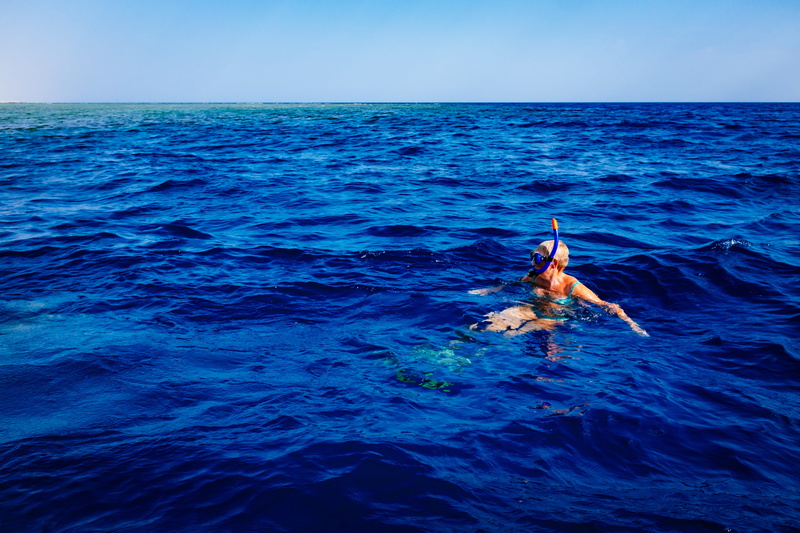 day, 4K, scenics - nature, waterfront, animal, blue, horizon, swimming, marine, nature, seascape, motion, outdoors, snorkling, leisure activity, sea, wave