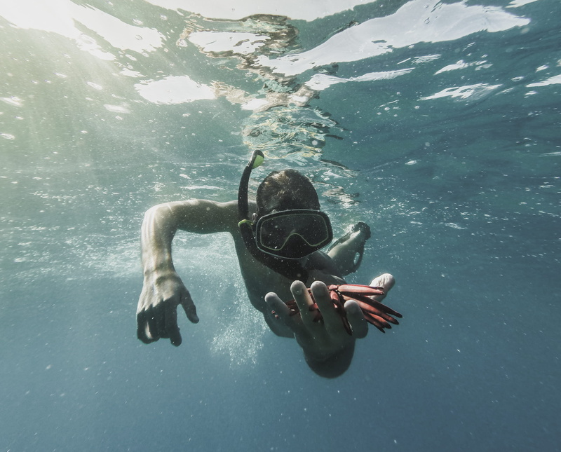 real people, eyewear, underwater, water, seacreatures, day, daniel keating, fish, united states, lifestyles, daniel_keating, swimming, leisure activity