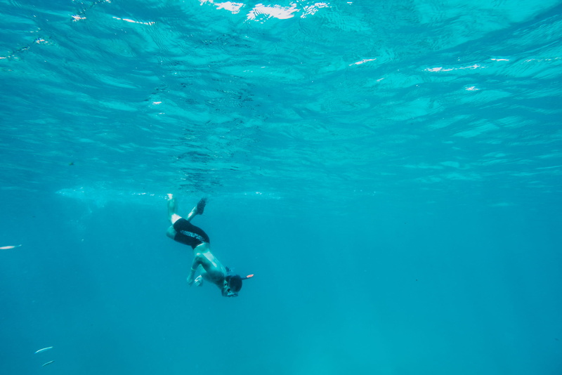 outdoors, water, aquatic sport, sport, maldives, surface, marine, swim, underneath, motion, travel, fly, travelig, sea, diving equipment, lifestyles, dive