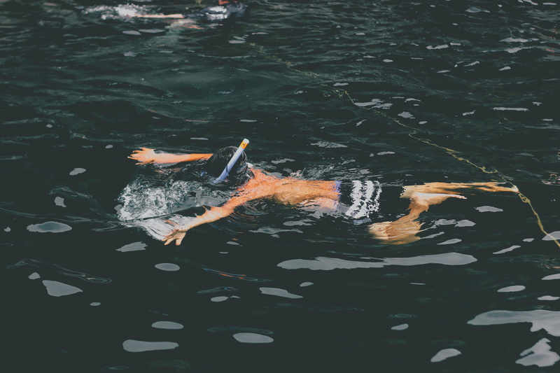 diving, animal wildlife, snorkling, outdoors, no people, human, person, swim, school of fish, animal themes, waterfront, diver, floating on water, marine