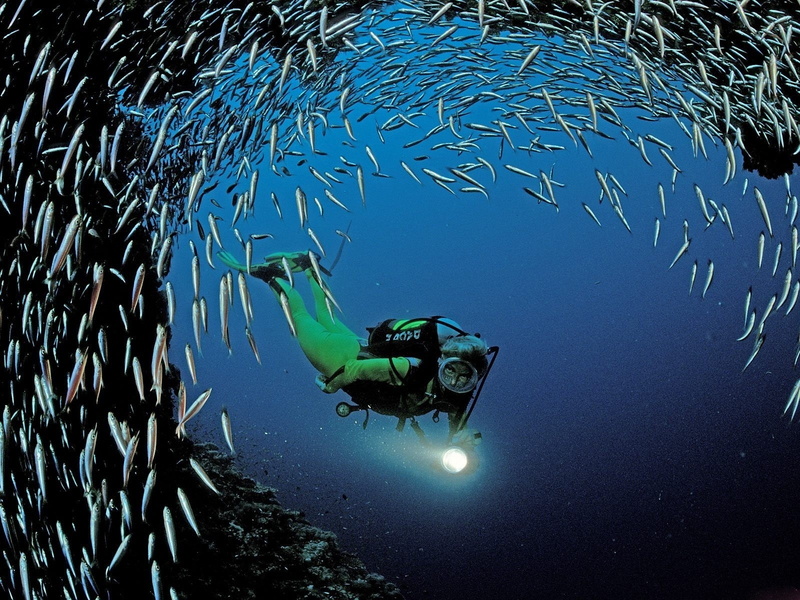scuba, fishes, caves, 720P, underwater, nature, diving, ocean, mask, people