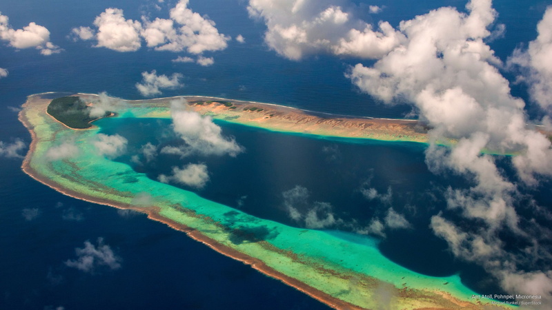 ant, atoll, micronesia, 2K, pohnpei, Islands
