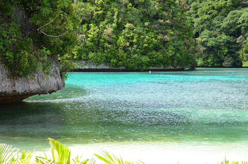 body, outdoors, turquoise colored, coast, coastline, non-urban scene, leisure, vacation, lake, tranquil, island, flowing water, exotic, idyllic, forest