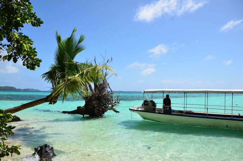 lake, horizon, seascape, leisure, palm tree, coast, exotic, relaxation, vacation, tropic, nautical vessel, paradise, natural, destinations, scenics - nature