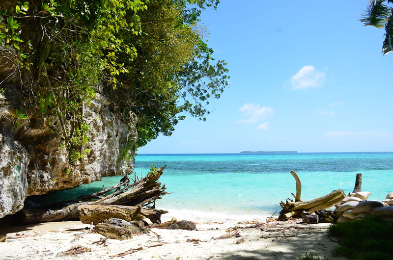 outdoors, no people, rocks, tropical, sunny, formation, island, seashore, land, relax, driftwood, caribbean, tropic, beauty in nature, plant, brown, idyllic