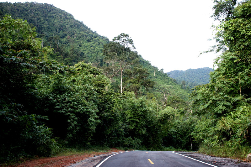 tranquility, hua hin, pa, tourist attraction, no people, scenics - nature, green color, plant, forest, sky, tranquil scene, tour, direction, growth, thailand