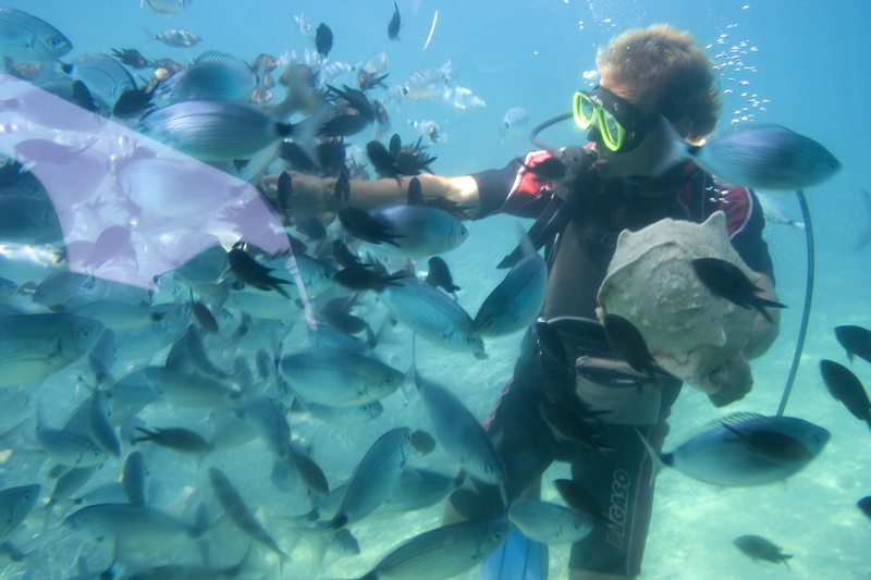 dive, eyewear, sea, man, large group of animals, one person, marine, Dive, school of fish, water, goggles, Diver, school, animal themes, people, deep, diving
