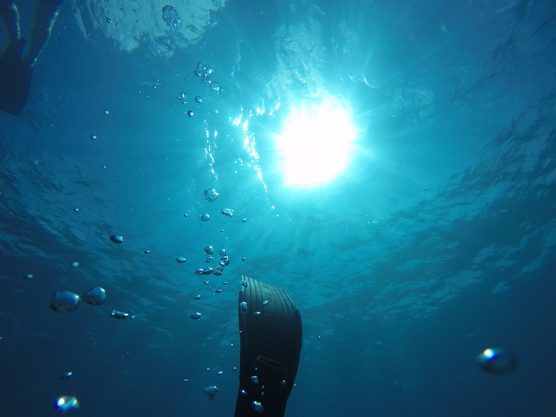 exploration, sea life, ocean, water, sport, nature, diving, leisure activities, underwater diving, bright, scuba diving, aqua scuba, fish, marine, underwater