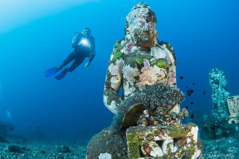 human, one person, invertebrate, water, animal themes, person, aqua scuba, indonesia, diving suit, nature, marine, outdoors, adventure, leisure activities
