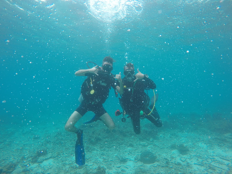 undersea, underwater diving, sea, animal, sports, snorkeling, nature, aquatic sport, scuba diving, aqua scuba, water, reef, friendship, leisure activity