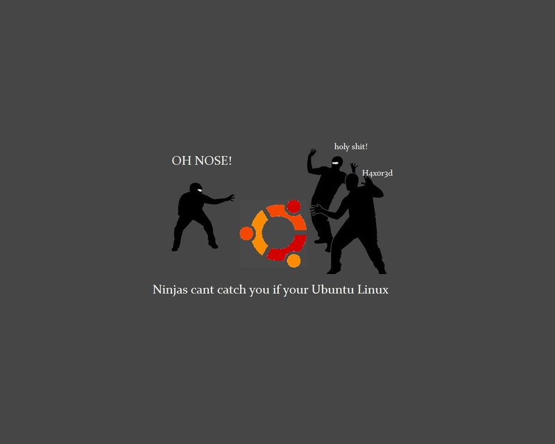 hd, cant, ninjas, art, Ubuntu, x, 720P, catch, linux, technology