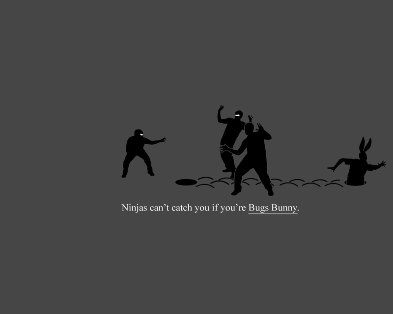 hd, catch, bugs, x, animals, art, ninjas, ninjas cant catch you if, 720P, cant