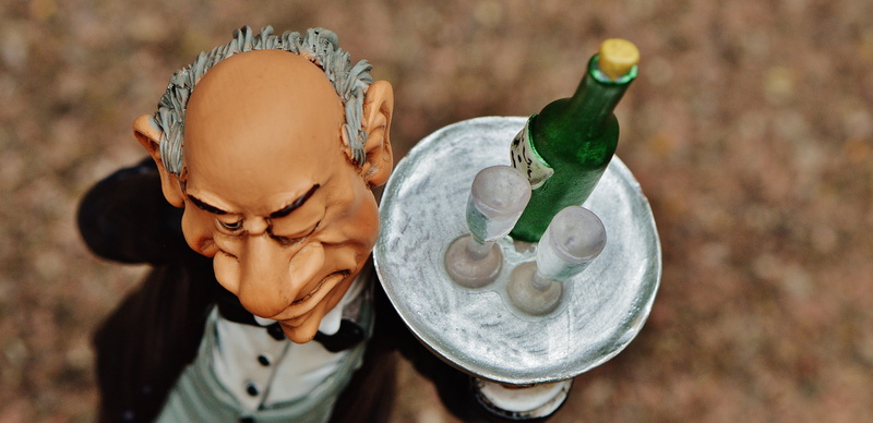 portrait, beverages, funny, high angle view, waiter, champagne, offspring, nature, headshot, emotion, focus on foreground, man, holding, wine, representation