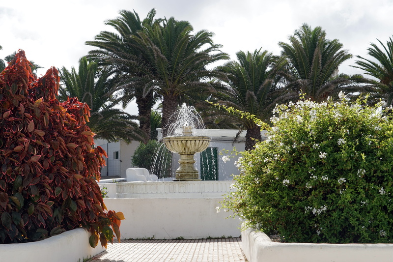 teguise, plant, no people, tropical climate, fountain, tree, beauty in nature, architecture, outdoors, built structure, places of interest, plaza reino ico