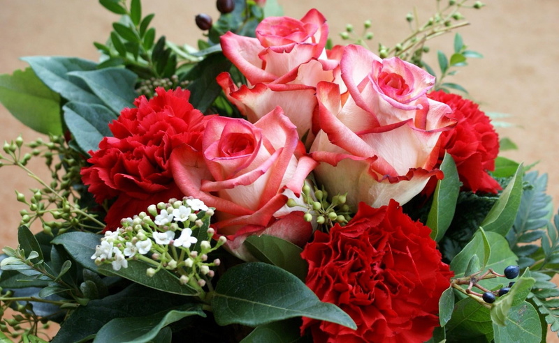 flower Head, beauty In Nature, flower, love, red, bouquet, freshness, inflorescence, summer, growth, fragility, no people, decoration, backgrounds, pollen