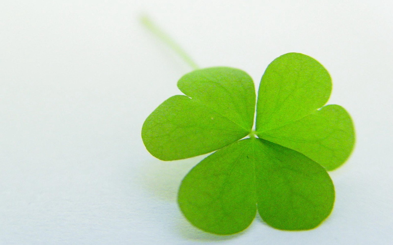 freshness, food and drink, season, growth, nature, leaf, backgrounds, clover, springtime, medicine, single Object, st. Patricks Day, irish Culture, no People