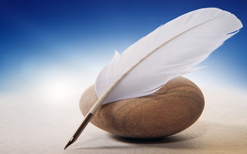 wood - material, table, spoon, still life, blue, quills, softness, white color, white, creativity, nature, studio shot, kitchen utensil, feather, food