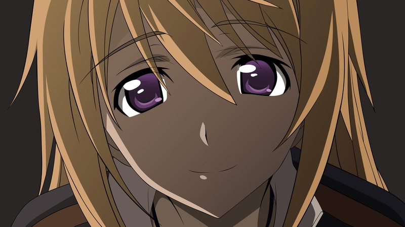 1080P, haired, yellow, charlotte, dunois, infinite, charlotte dunois, 1920x1080, character, anime, stratos, infinite stratos