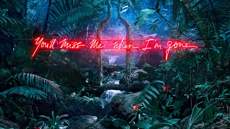 Artistic, Statement, Neon, 4K, Forest
