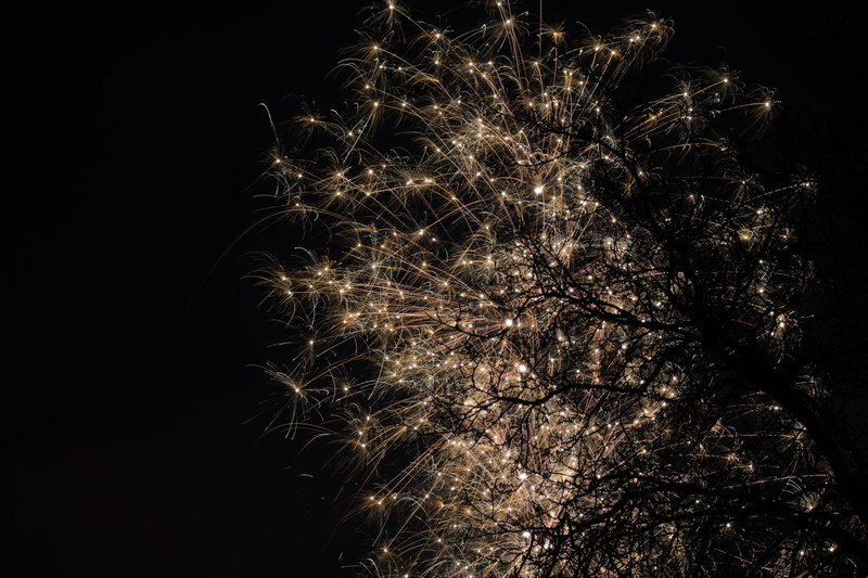 new years day, festival, exploding, outdoors, nature, firework display, light, night, rocket, motion, sylvester, illuminated, plant, new years eve, firework - man made object