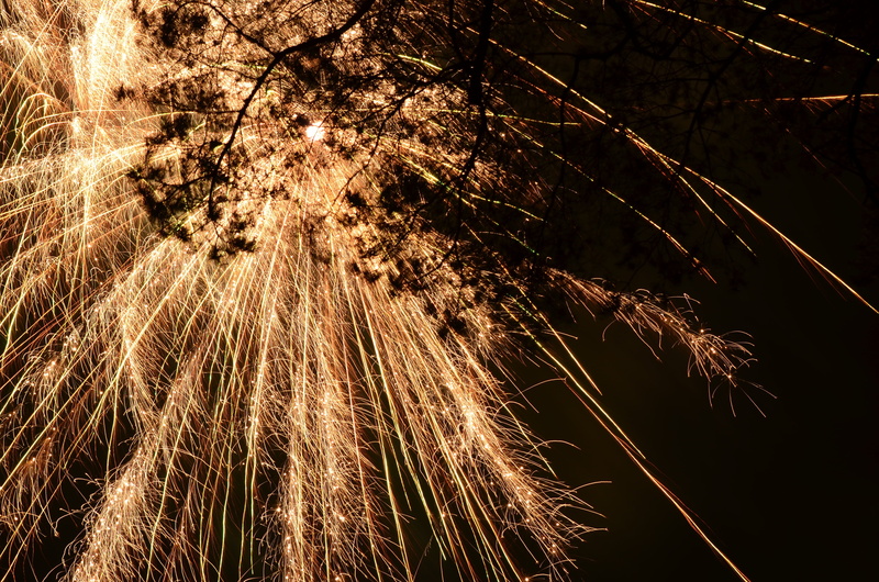 low angle view, illuminated, silhouette, light, nature, new years eve, close-up, firework - man made object, rocket, branch, no people, beauty in nature