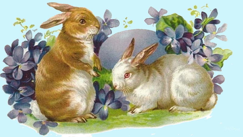 old fashion, renaissance, vintage, violets, 1080P, easter, flowers, firefox persona, antique, bunnies