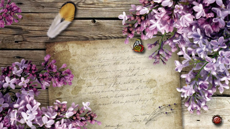 flowers, old letter, firefox persona, paper, vintage, brown, script feather, butterfly, lovely, letter, purple, butterflies, lilacs, 1080P