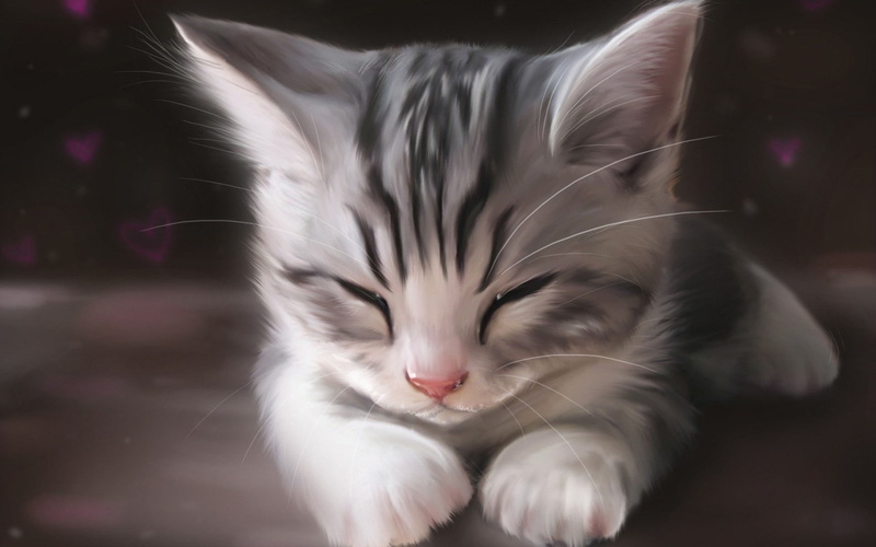 animals, 1080P, sleeping, cat, 1920x1200, kittens