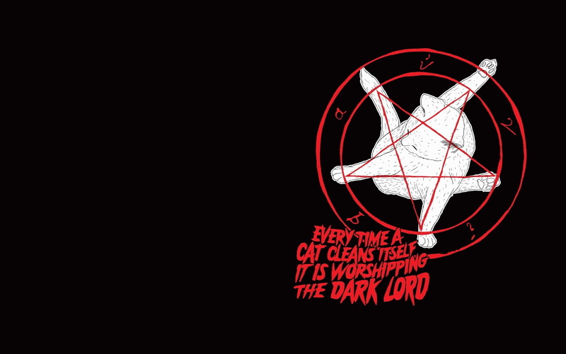 funny, occult, humor, 1080P, cat, satanic, sadic