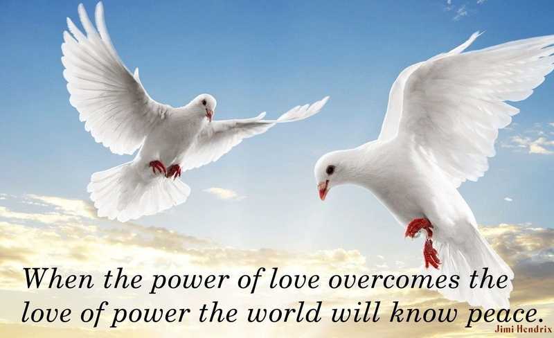 Statement, Bird, 720P, Misc, Quote, Dove