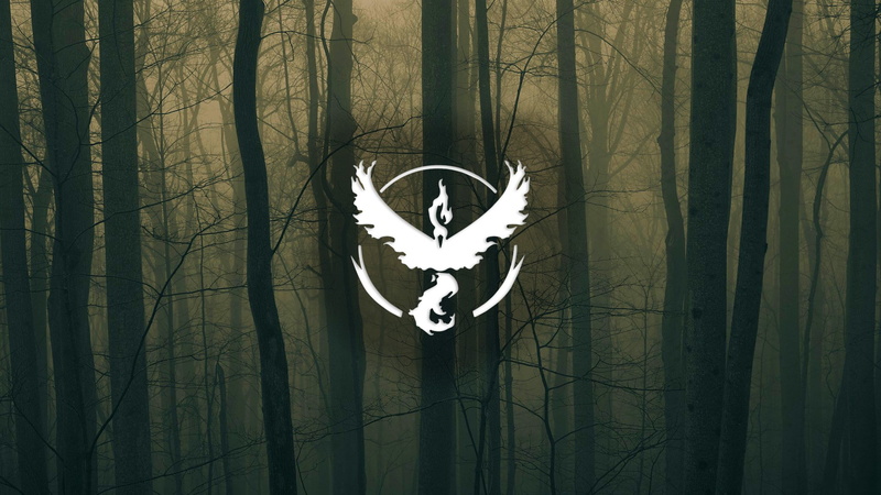 Team Valor, white, 1080P, Trees, pokemon