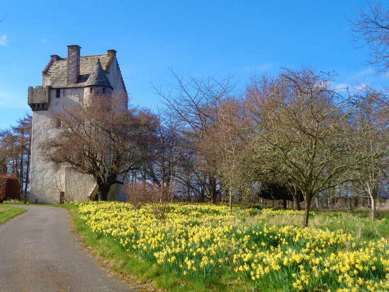 tower house, clear sky, spring, growth, architecture, nature, field, building, beauty in nature, history, the past, no people, building exterior, 1080P