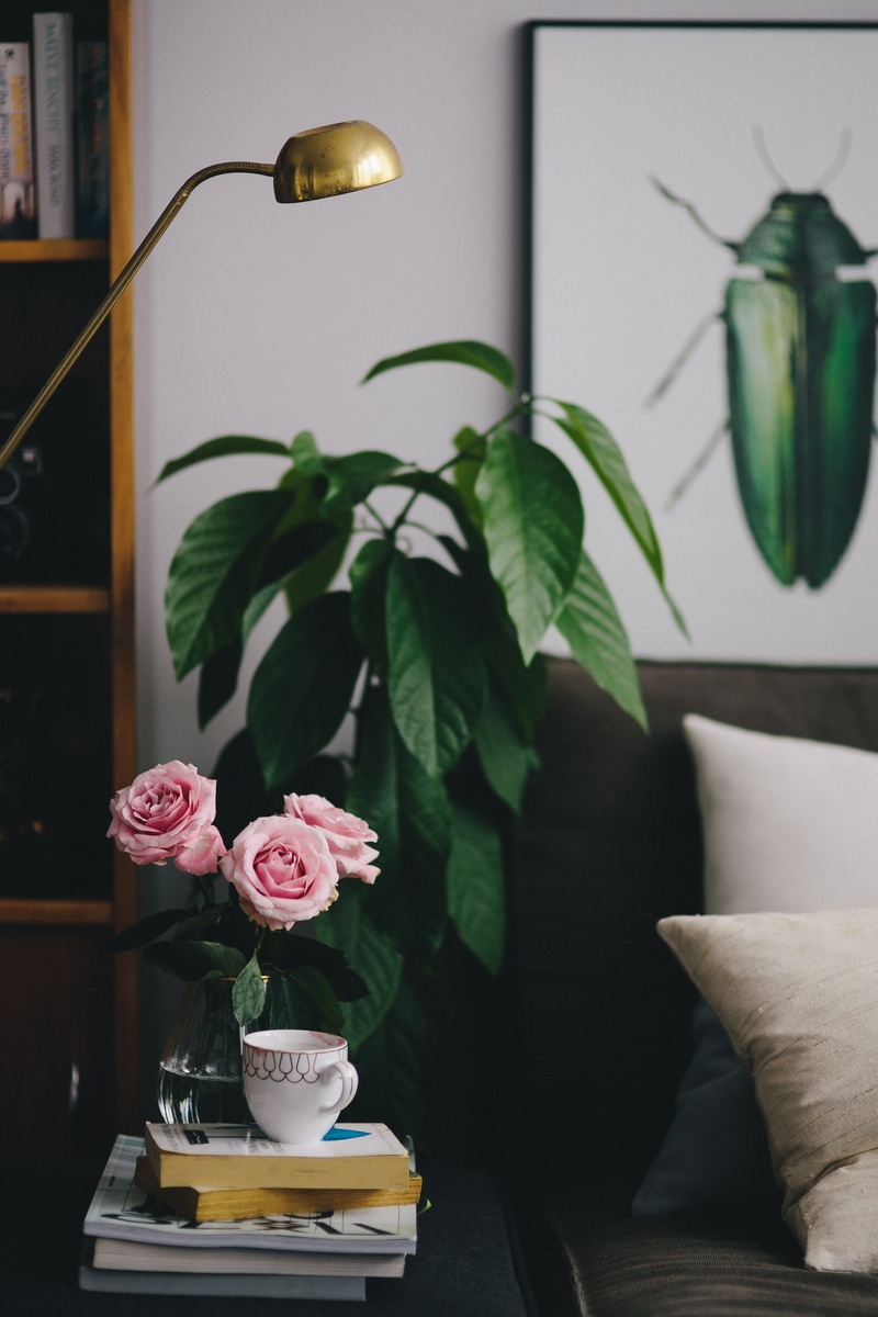elegance, inflorescence, pink color, flower, living Room, flower arrangement, no People, plant, coffee table, sofa, pink roses, comfortable, vase, flower head